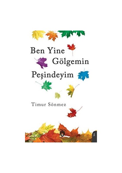 Ben Yine Gölgemin Peşindeyim - Timur Sönmez