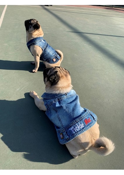 Tickle Me; Jeans Yazlık Köpek Kot Ceket Küçük Irklar TCK-103