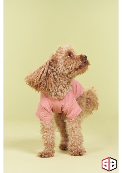 Yeni Pou Serisi - Hands 0-30kg Köpek Tshirt KK-103 indirimleri