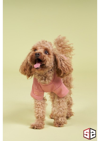 Yeni Pou Serisi - Hands 0-30kg Köpek Tshirt KK-103
