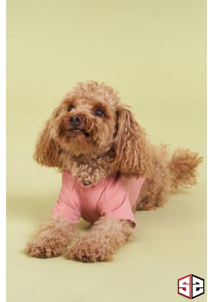 Yeni Pou Serisi - Hands 0-30kg Köpek Tshirt KK-103