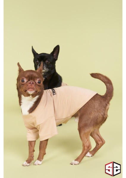 Yeni Pou Serisi - Vizon 0-30kg Köpek Tshirt KK-104