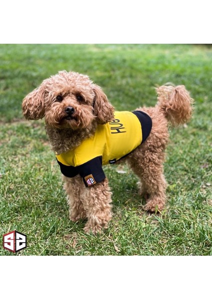 3D Rubber Baskı - Hug Please Yazlık T-Shirt- Pamuk Köpek Kıyafeti, Köpek Yazlık KK-107