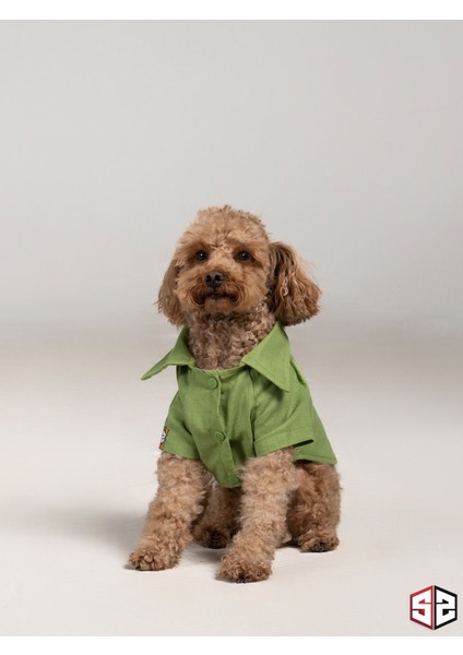 Good Vibes- Yeşil Keten Yazlık Köpek Gömleği Küçük Irklar 0-15kg KK-131