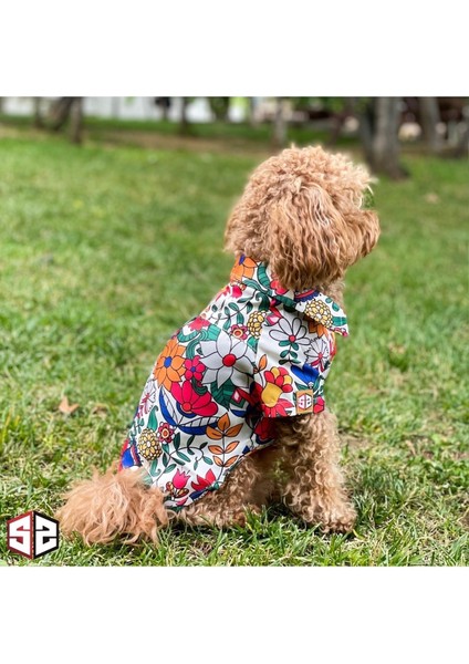 Hawaii - Terrycotton Yazlık Köpek Gömleği Küçük Irklar 0-15kg KK-106 modelleri