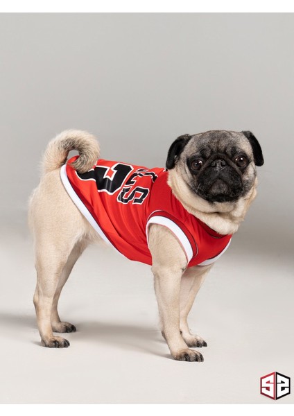 Chicago Yazlık Köpek Forma Kedi, Köpek Kıyafeti Küçük Irklar 0-15kg KK-115