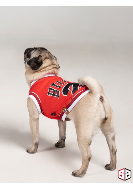 Chicago Yazlık Köpek Forma Kedi, Köpek Kıyafeti Küçük Irklar 0-15kg KK-115 modelleri