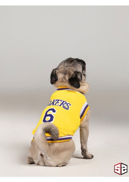 Lakers Yazlık Köpek Forma Kedi,köpek Kıyafeti Küçük Irklar KK-111