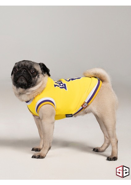 Lakers Yazlık Köpek Forma Kedi,köpek Kıyafeti Küçük Irklar KK-111
