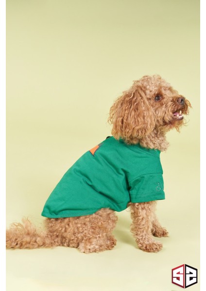 Yeni Pou Serisi - Camping 0-30kg Köpek Tshirt Köpek Kıyafeti KK-101 fırsatları