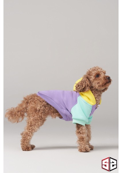 Köpek Kıyafeti, Köpek Sweatshirt, Positive Vibes Küçük Irk Köpek Elbisesi fiyatları