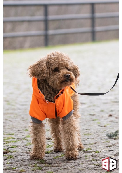Active Support Neon Köpek Yağmurluğu NON202