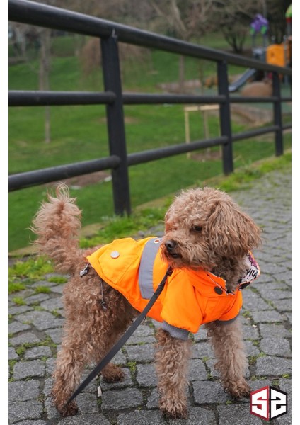 Active Support Neon Köpek Yağmurluğu NON202