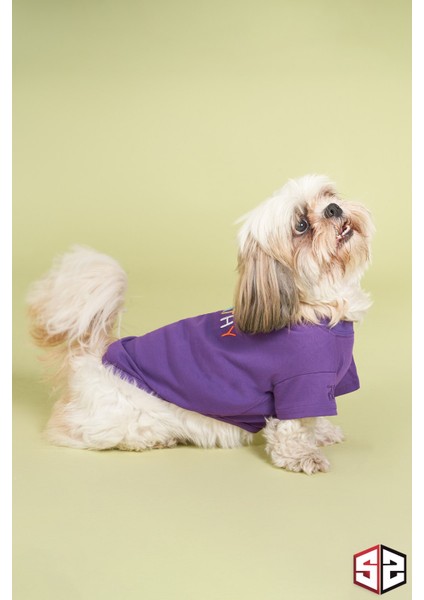 Yeni Pou Serisi - Empathy 0-30kg Köpek Tshirt Köpek Kıyafeti KK-102