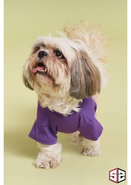 Yeni Pou Serisi - Empathy 0-30kg Köpek Tshirt Köpek Kıyafeti KK-102