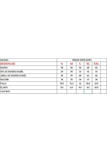 Erkek Kısa Deniz Şort C12202 Saks fırsatları