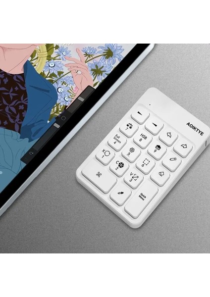 Procreate Için Pembe Aoiktye Kablosuz Klavye, Çizim Tableti Için El Klavyesi Şarj Edilebilir Bluetooth Bağlantı Klavyesi (Yurt Dışından) fırsatları
