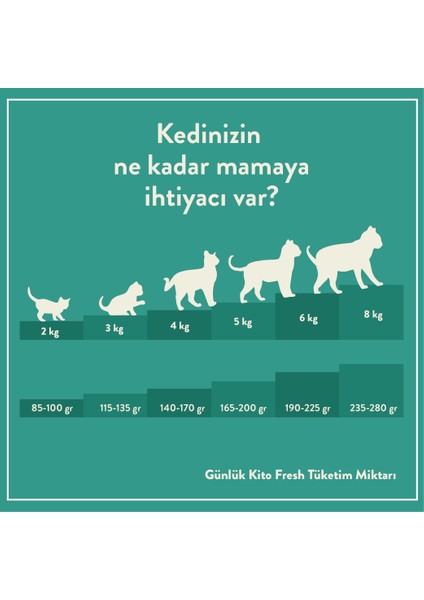 Yetişkin Kedi Maması 2 kg + Dana Etli Kedi Kito Fresh x 6