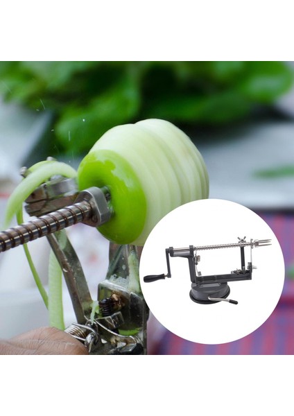 Meyve ve Oyma Vantuzlu D Oyma Makinesi (Yurt Dışından)