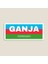 Azerbaycan Azerbaijan Ganja 17 cm Araba Sticker Etiket 1