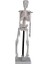 İskelet Modeli 46 cm Standlı 2