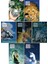 Narnia Günlükleri 7 Kitap Set - C. S. Lewis 1