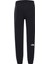 The Northface Erkek NSE Pantolon NF0A4SVQJK31 2