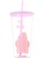 We Bare Bears Lisanslı Pipetli Plastik Şişe (600ML) - Boz Ayı 2