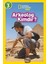 National Geographic Kids - Arkeolog Kimdir? - Libby Romeo 1