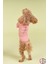 Yeni Pou Serisi - Hands 0-30kg Köpek Tshirt KK-103 1