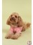 Yeni Pou Serisi - Hands 0-30kg Köpek Tshirt KK-103 7