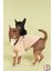 Yeni Pou Serisi - Vizon 0-30kg Köpek Tshirt KK-104 1