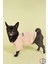Yeni Pou Serisi - Vizon 0-30kg Köpek Tshirt KK-104 2