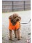 Active Support Neon Köpek Yağmurluğu NON202 1