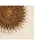 Shell Rattan Bardak Altlığı Antik Antik 3
