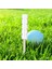 Yeşil Eğ Vermek Için Çok Fonksiyonlu Golf Çatalı (Yurt Dışından) 5