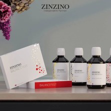 Zinzino Balance Test