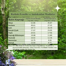 Ravla Meşe Ham Salgı Balı (Yüksek Antioksidan) - 250gr