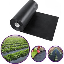 Sera Trend Mulch Naylonu 1,2X100 Metre Siyah Taban Örtüsü Pidok Çilek Mulch 20 Micron Uv Li Sebze Naylonu