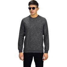 Raymons Erkek Spor Sıfır Yaka Sweatshirt R2264 BGL-ST03186