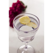 Depa Akrilik Şeffaf Tekli Kadeh & Su Meşrubat Kahve Yanı Bardağı 300 ml ( Cam Değildir )