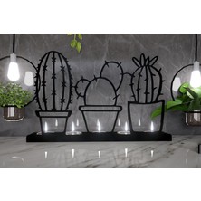 M&c Concept Kaktüs 5'li Metal Mumluk - Siyah
