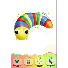 Kayyum Oyuncak Söktak Eğlenceli, Stres ve Anksiyete Giderici Montessori Tırtıl Oyuncağı Renkli TRTL001