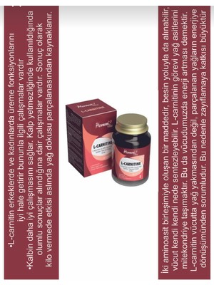 Evlium Homm Vita L-Carnitin ve Alfa Lipoik Içeren Takviye Edici Gıda 30 Kapsül
