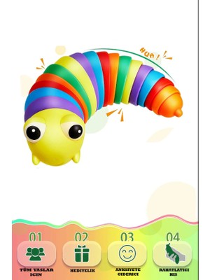 Kayyum Oyuncak Söktak Eğlenceli, Stres ve Anksiyete Giderici Montessori Tırtıl Oyuncağı Renkli TRTL001