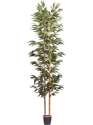 Herdekora Yapay Bambu Ağacı 210 Cm.