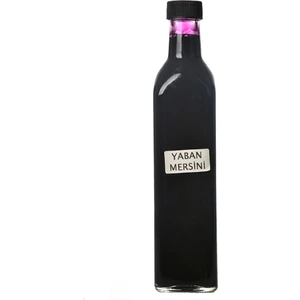 33tarsusyoresel Ev Yapımı Yaban Mersini Özü 250 Ml