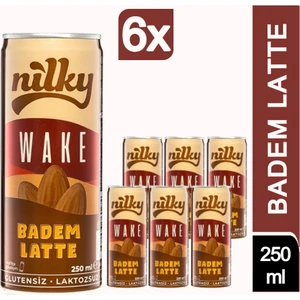 Wake Badem Latte 6 x 250 ml