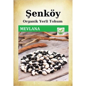 Yerli Mevlana Sırık Fasulye Tohumu Doğal Ata Tohum Pakette 25 Gr 60 Tohum + Sebze Tohumu