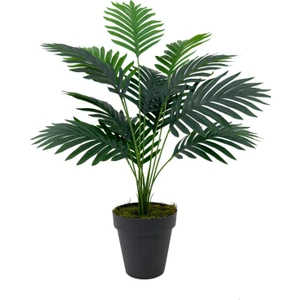 Areka Palmiyesi 75 cm Antresit Yakut Saksıda